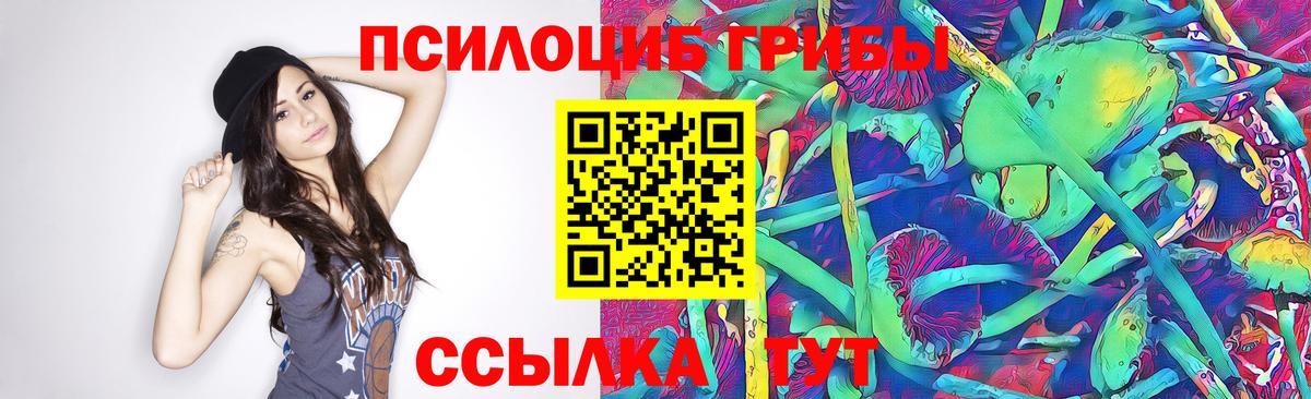 Красноярск  Галлюциногенные грибы GOLDEN TEACHER  Псилоцибиновые грибы Psilocybe  Вход с VPN 