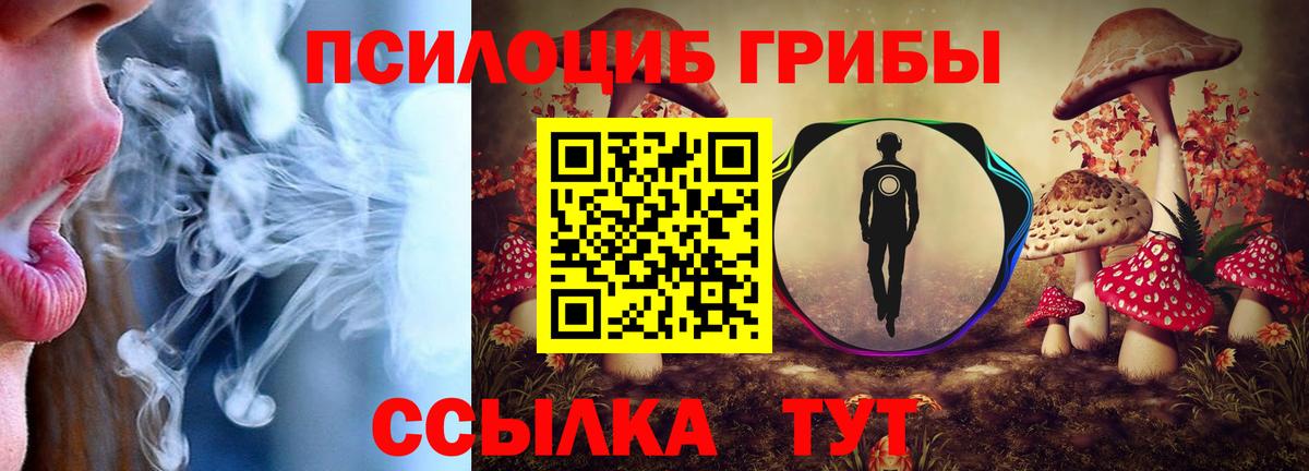 Псилоцибиновые грибы GOLDEN TEACHER Красноярск
